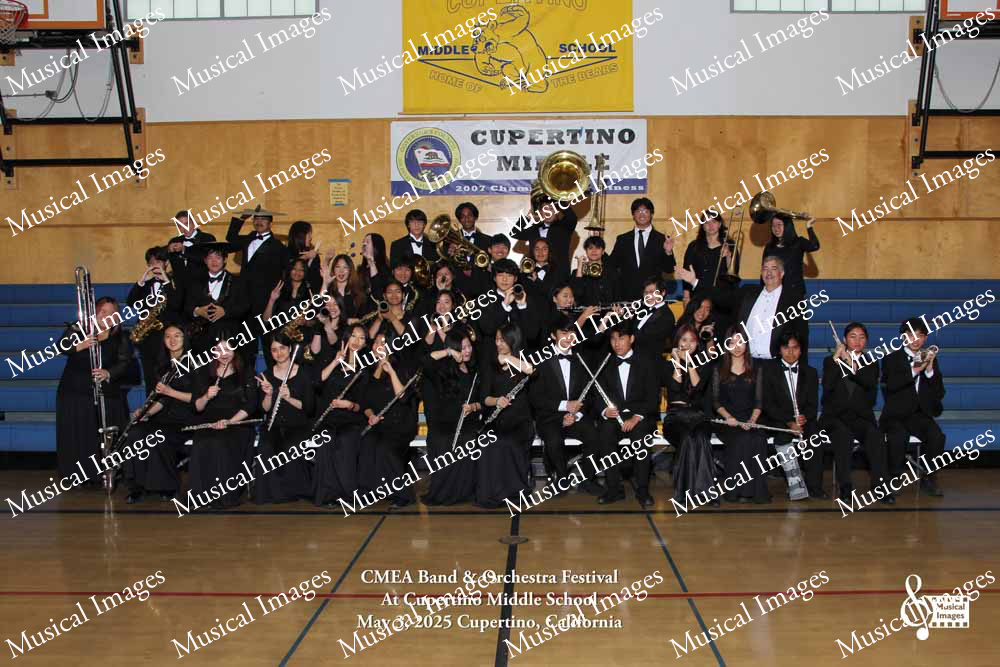 Musical Images